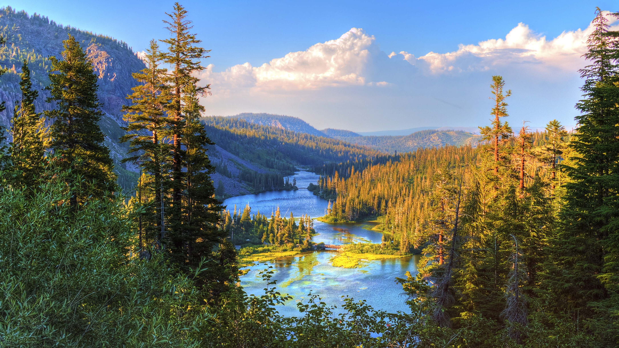Beautiful Forest and Lake