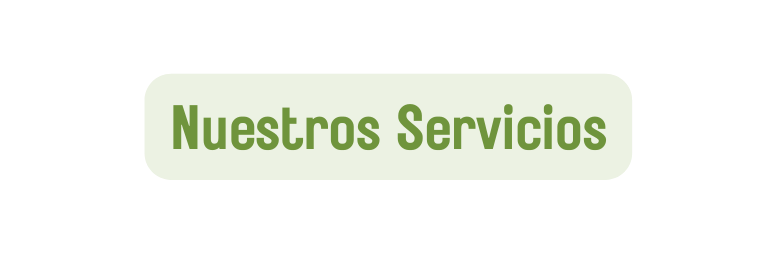 Nuestros Servicios